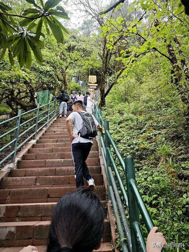 徒步瓦屋山,太艰难了,坚持下来不容易
