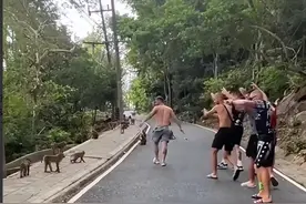 恶猴自有洋人磨！峨眉山的猴子遇到外国人，猴子：已老实，求放过图片