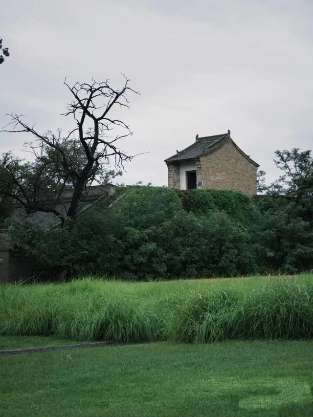 在未央，雨是历史的回响 也是生活的烟火