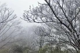 冷！南宁最低气温9℃！广西多地迎2025年第一场雪图片