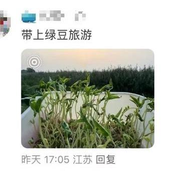 国庆奇观：四年级学生带绿豆芽游遍全国