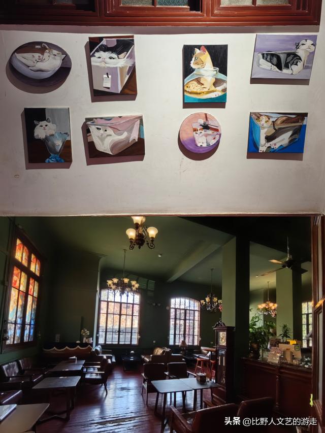 天津中心城区，发现一堆新近开放的小众免费展馆，游走时别错过