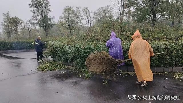 火神台全力备战第十届华商文化节！ 以匠心致盛会，静候宾朋！