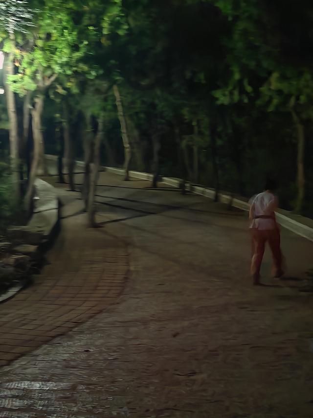 济南英雄山秋日夜景