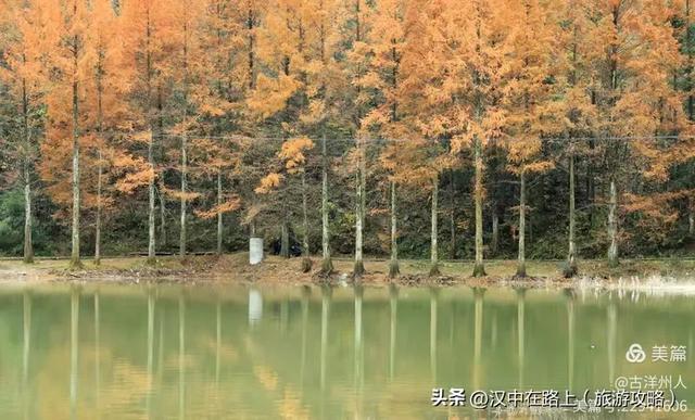 龙池秋色惹人醉