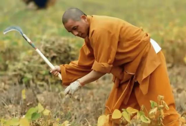 拔出萝卜带出泥！释永信刚被查，央视名嘴刘芳菲就受到了牵连