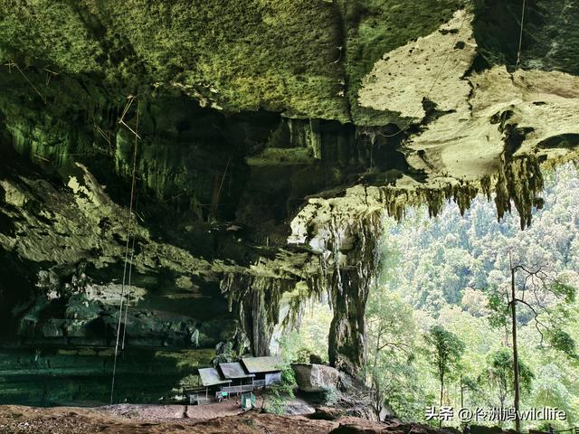 马来西亚(32)砂拉越州⑥世界遗产尼亚洞窟探险