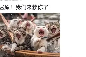 南方龙舟真的太野了！划过之处，鱼肚都翻了白，鱼：我招你们了？图片