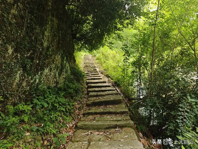 藏在大别山里的青檀古道，如今很多人不知道这条古道了！