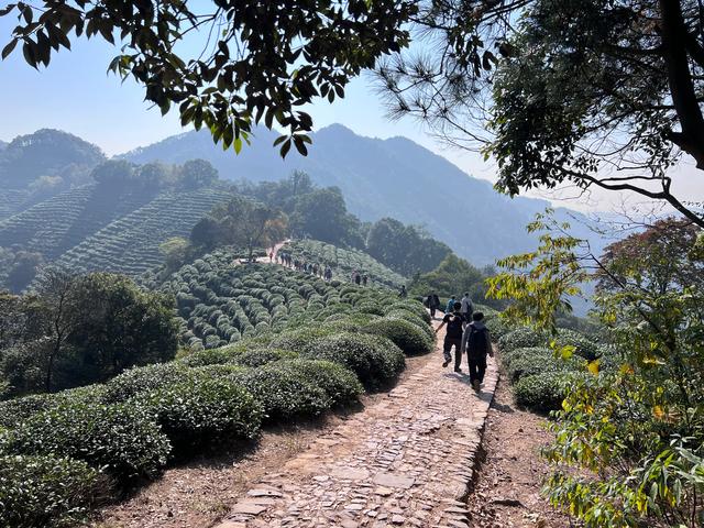 上天竺到云栖竹径，徒步9公里，感受一路秋意。