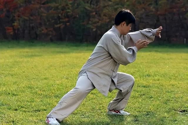 杨式太极高探马站不稳还手软？3个细节揪准了狠改 第2张