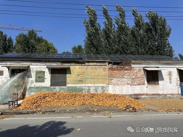 冠县乡韵·兰沃乡大柳邵村