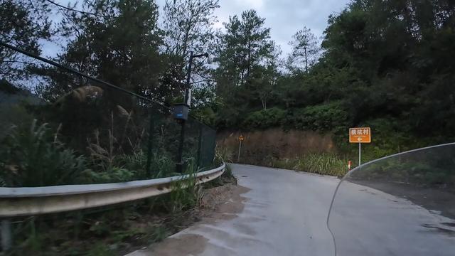 皖浙摩旅二人转——松阳横坑村篇（上）