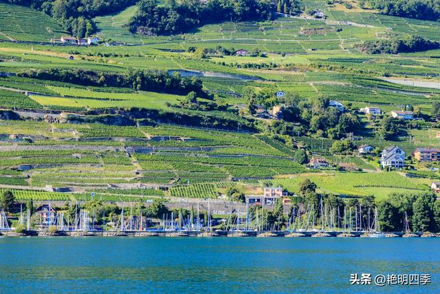 欧游杂记（2）‖ 日内瓦湖畔的美丽：从日内瓦到蒙特勒