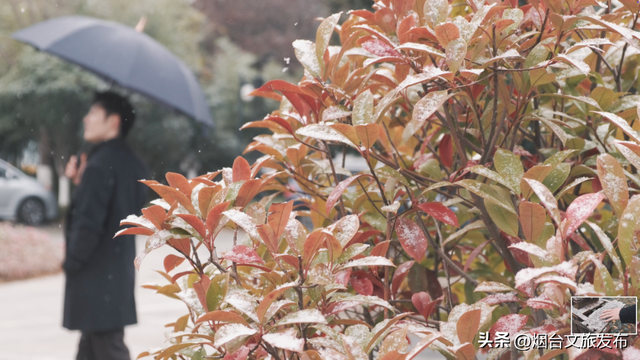 【乐游烟台】烟台这家景区太宠了！免费进、免费喝、免费玩