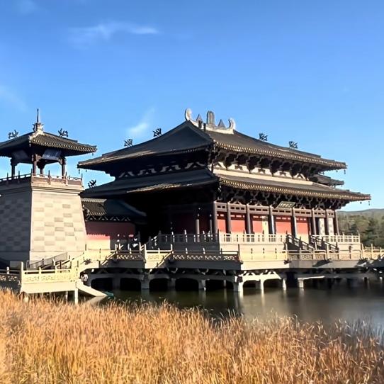 我是上海人，游云冈石窟悟历史，北魏雕刻藏故事，实地看比虚拟强