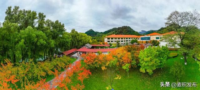 【东方微笑 多彩麦积】摄影师看麦积 | 和谐园里风光如诗画（上）