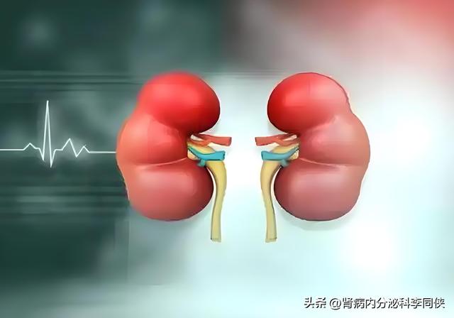 尿红细胞超标别忽视，医生教你看指标护肾脏