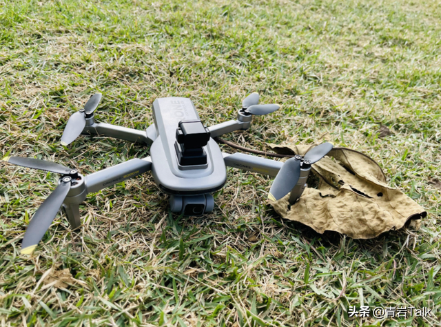 赏秋遇糟心，游客躲暴走族、劝阻遭无视，普通人咋破局？