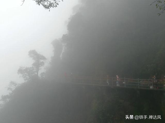 2025湖南行：仙气飘飘～莽山五指峰