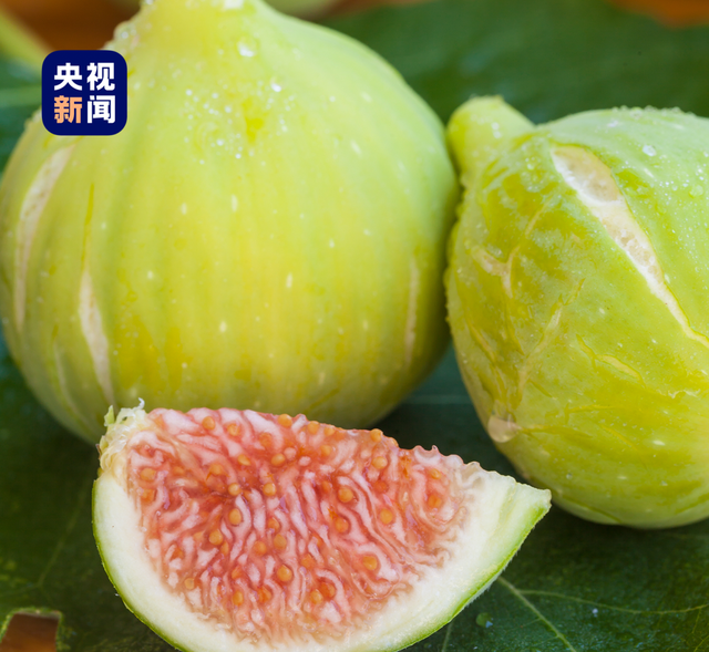 新 疆 ，是 个 好 地 方 ！