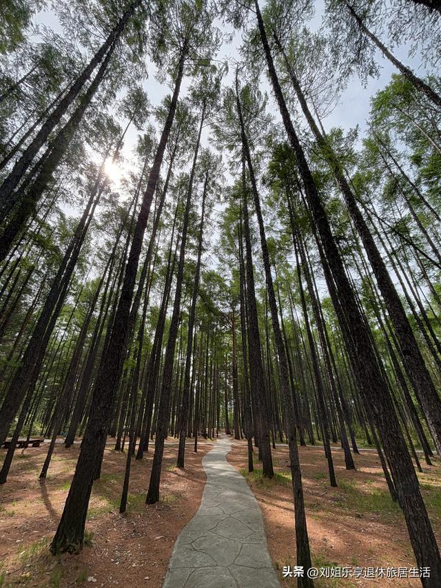 自驾331国道从黑河到漠河，一路找北寻北过程真实记录（二）
