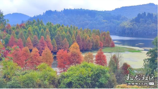 山水入画秋意来