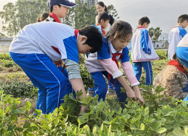 太惊喜！肇庆首届研学精品线路正式发布，每条都想打卡↘