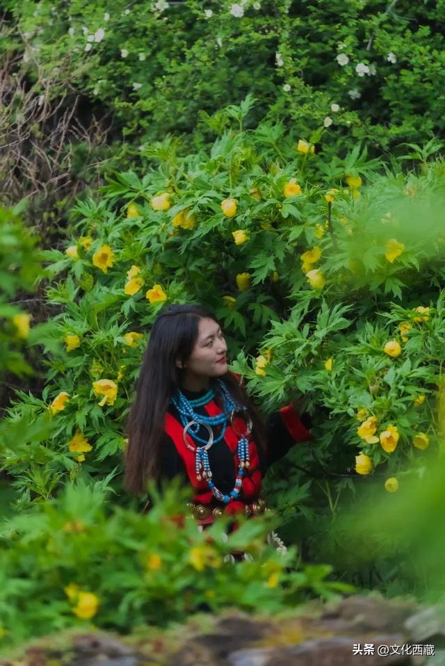 西藏的盛夏，3种味道让你魂牵梦绕！
