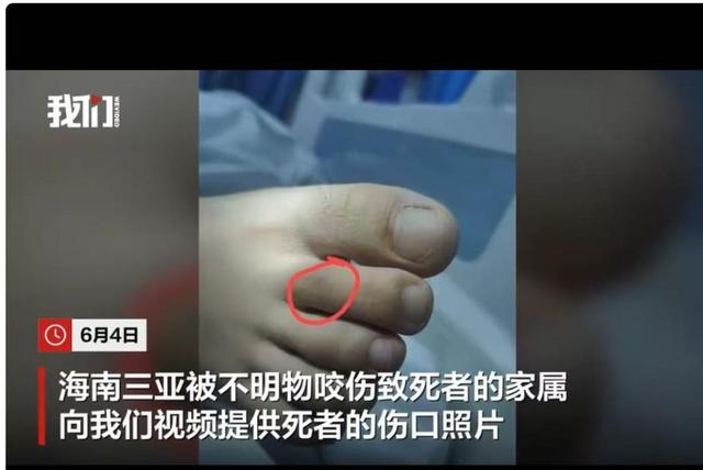 她独自在4700米雪地等死，谁该为这场险些致命的“自由行”买单？