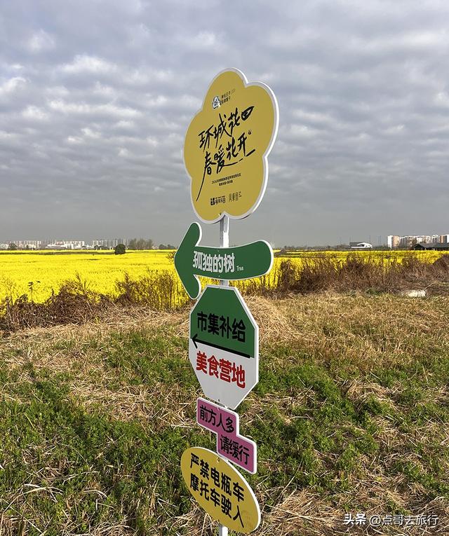 成都城区最大的油菜花田，2000亩铺天盖地般壮美，视觉非常震撼！