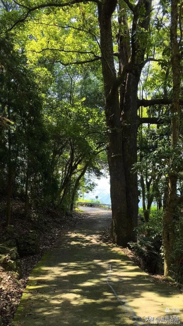 华东最后一个通电村！你知道是温州哪个村吗