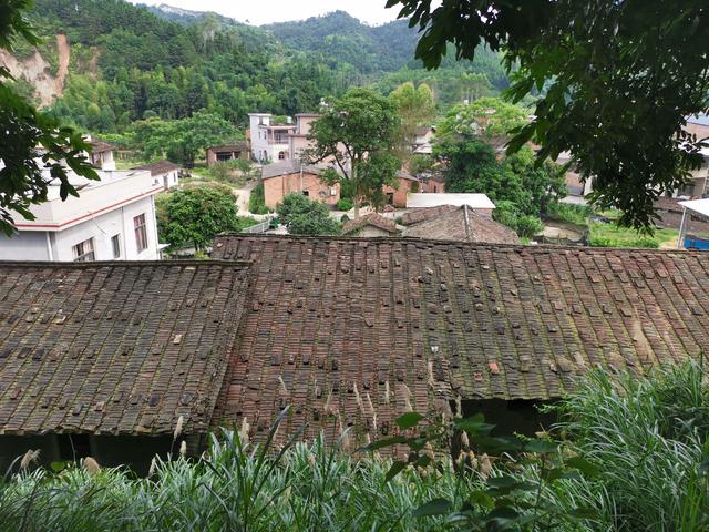 漳州华安岱山村齐云楼（2019.6.15）