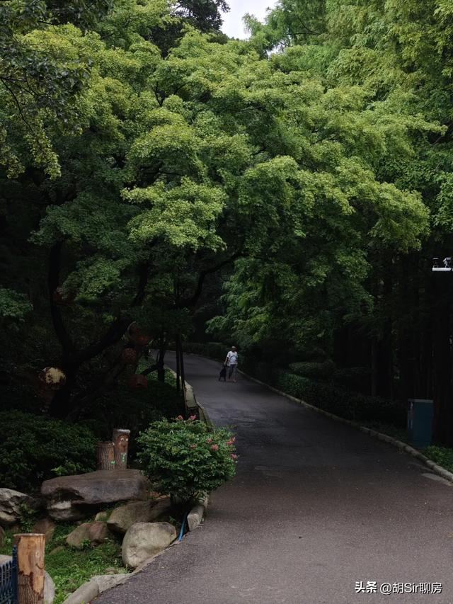 来青岛数十年，竟错过这里！