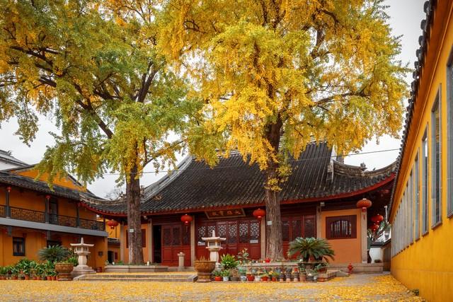 江苏深秋封神路线！红叶燃山野，银杏铺禅径，13城秋韵一次锁死