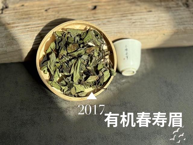 如何辨别老白茶的好坏？4个小技巧，学会了你也能成为高手