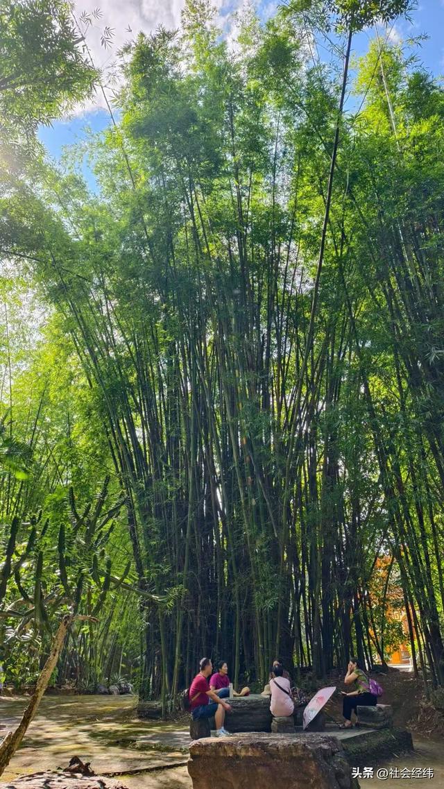 【每日一景】云南德宏勐巴娜西珍奇园