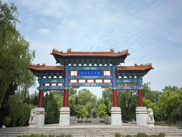 济宁文旅手札・吃逛玩攻略全收录（泗水篇）