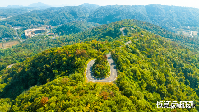 评分秋色：随州为啥被称为“杏”运城市？