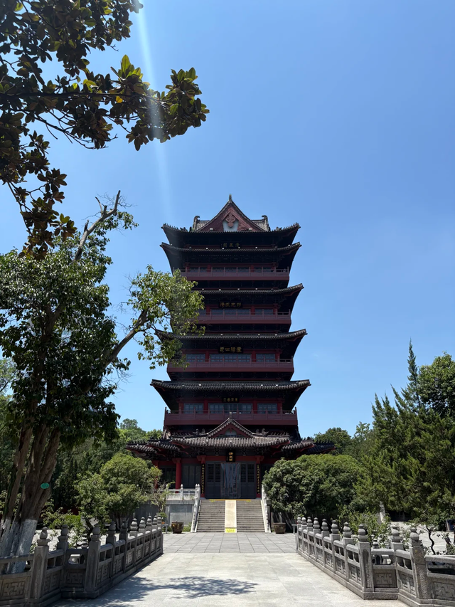 合肥真不是“过路城市”，越品越有味，一不小心就爱惨了！