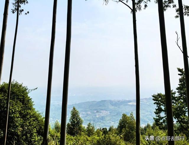 成都龙泉山冷门徒步路线，大片桉树林超美，不要门票，野趣十足！