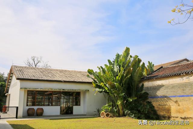稻浪浸温汤，古村藏清欢