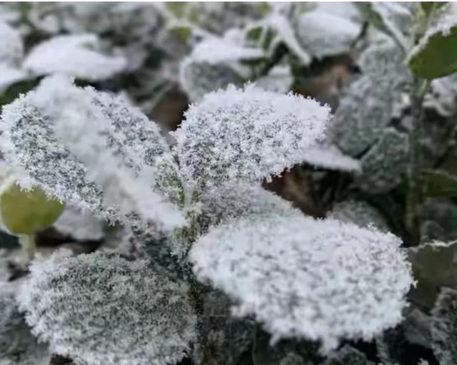 23点冬至	，“白天冬至冰三尺，晚上冬至穿单衣	”，今年冬至在哪？