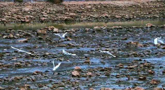 两当冬韵， “氧”心秘境