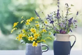 长期照顾老年父母的中年人，不管多善良，都要学会“留一手”图片