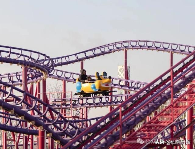 仙桃最大的户外游乐场正式开园！人气超火爆……
