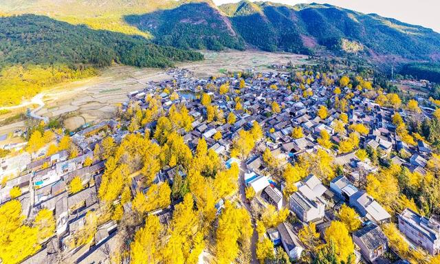 国内七个小众旅行地，人少景美，非常治愈，你去过几个