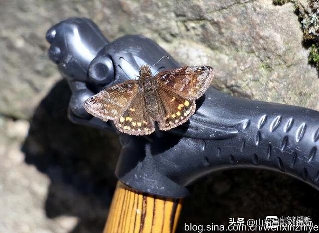 三叠泉拍片的故事[下]（江西之旅第九篇）
