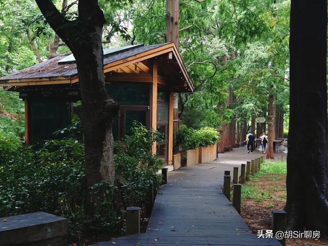 来青岛数十年，竟错过这里！