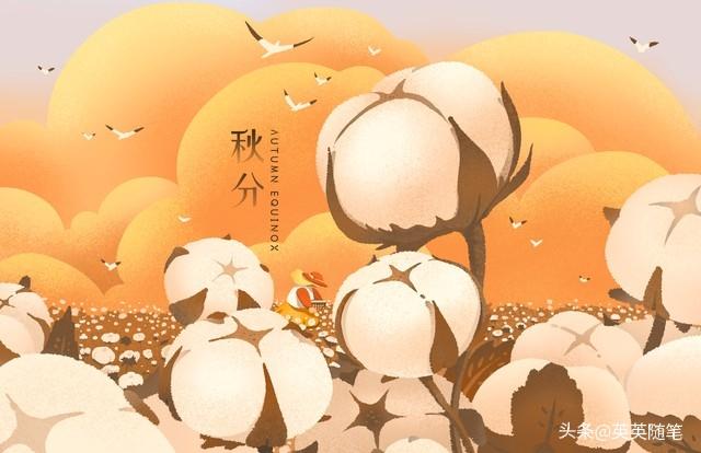 “白天秋分，大雪封门，晚上秋分，单衣过冬”，今年秋分在几点？